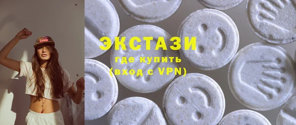 гашик Алексин