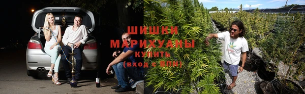 каннабис Абаза