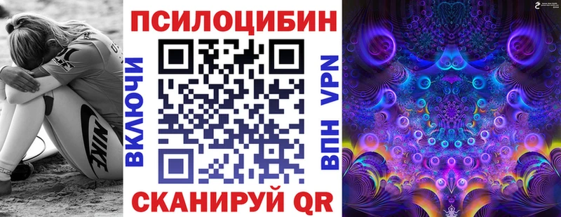 Псилоцибиновые грибы MAGIC MUSHROOMS  закладки  Бийск 